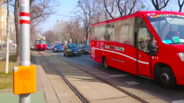 オーストリア ウィーン 2019年2月18日 ヴィンテージ赤いトラムは 2月18日にウィーンでリング通りの道路のパークリングに沿って駆動します — ストック動画