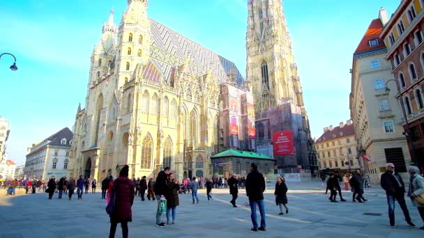 Wiedeń Austria Lutego 2019 Ciesz Się Spacerem Stephen Square Stephansplatz — Wideo stockowe