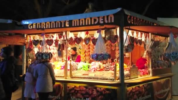 Wien Österrike Februari 2019 Den Vinter Mässa Marknaden Rathaus Torget — Stockvideo