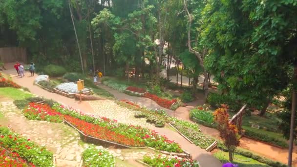 Chiang Rai Tailandia Mayo 2019 Los Coloridos Macizos Flores Terrazas — Vídeos de Stock