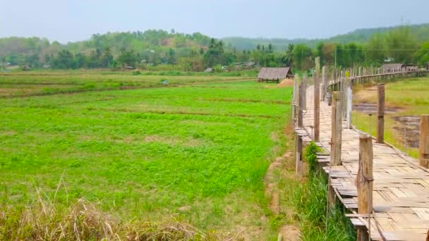 Panorama Ponte Bambu Tong Pae Rodeado Por Campos Arrozais Jardins — Vídeo de Stock