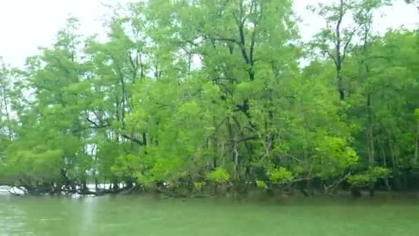 Mangroven Van Thalu Island Trekken Toeristen Aan Een Roeiboot Longtail — Stockvideo