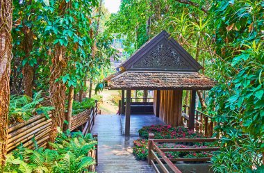 Mae Fah Luang bahçesinde gölgeli sokak, Doi Tung, Tayland