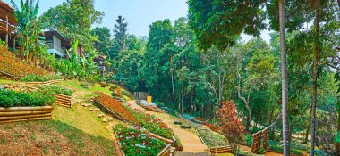Mae Fah Luang bahçe, Doi Tung, Tay yamaç üzerinde çiçek yatak