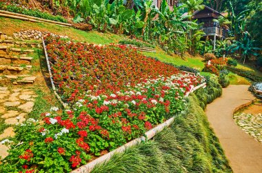 Mae Fah Luang bahçe çiçekleri, Doi Tung, Tayland