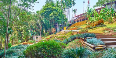 Mae Fah Luang bahçe peyzaj, Doi Tung, Tayland