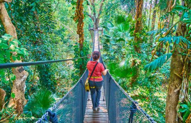 Asma köprüden yürümek, Tree Top Walk, Mae Fah Luang 