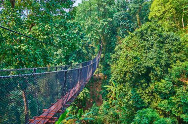 Yeşillikte yürüyün, Tree Top Walk, Mae Fah Luang bahçe, 
