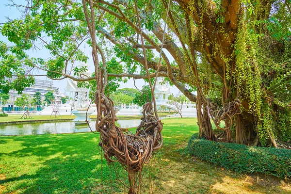 O balanço das raízes aéreas de banyan, Chiang Rai, Tailândia — Fotografia de Stock