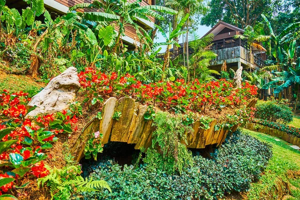 Живописные цветники в саду Мае Фах Луанг, Дой Тунг, Таиланд — стоковое фото