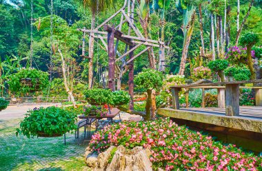 İlginç peyzaj, Mae Fah Luang bahçe, Doi Tung, Thailan