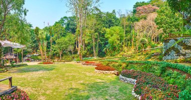 Mae Fah Luang bahçesindeki çimpanoraması, Doi Tung, Tayland