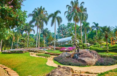 Mae Fah Luang bahçesinde Palmiye sokak, Doi Tung, Tayland