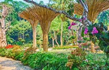 Ziyaret Mae Fah Luang bahçe, Doi Tung, Tayland