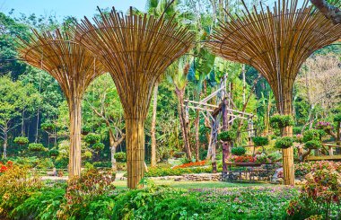 Bambu şemsiyeler, Mae Fah Luang bahçesi, Doi Tung, Tayland