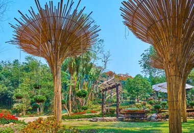Bambu şemsiyeli gölgeli sokak, Mae Fah Luang bahçesi, Doi