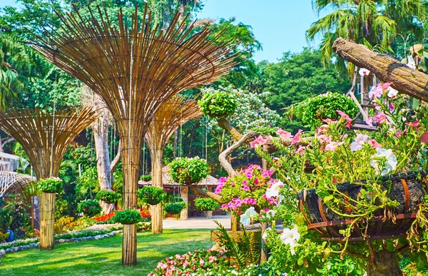 Los jardines del norte de Tailandia, Mae Fah Luang, Doi Tung — Foto de Stock
