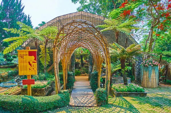 Крытый сад орхидей в Mae Fah Luang, Doi Tung, Таиланд — стоковое фото