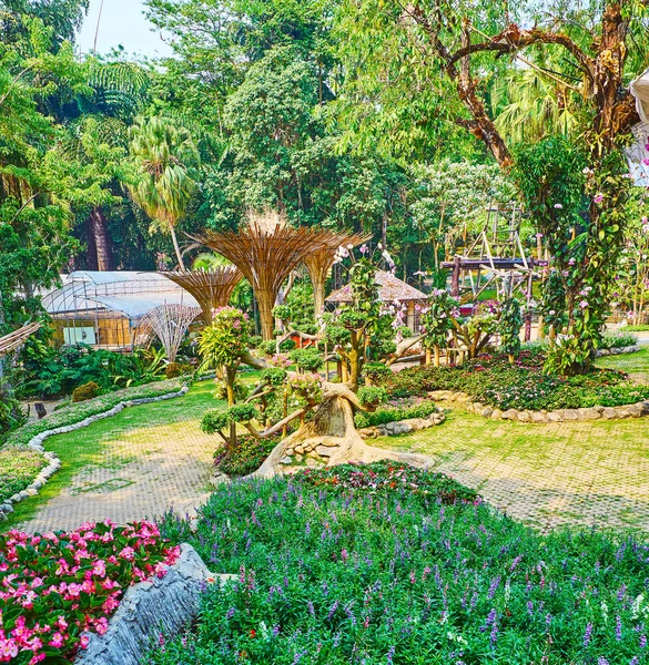 Прогулка среди зелени сада Mae Fah Luang, Doi Tung, Thail — стоковое фото