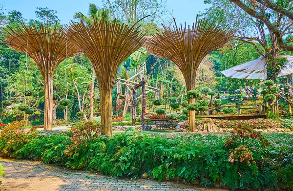 Mae Fah Luang bahçesinde Bsmboo şemsiyeler, Doi Tung, Tayland