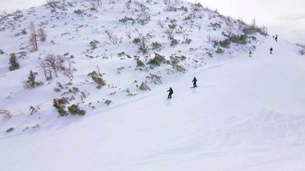 Glooiende Helling Van Feuerkogel Perfecte Plek Voor Downhill Het Beschikt — Stockvideo