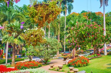 Mae Fah Luang bahçe, Doi Tung, Thaila çiçekler arasında yürüyün