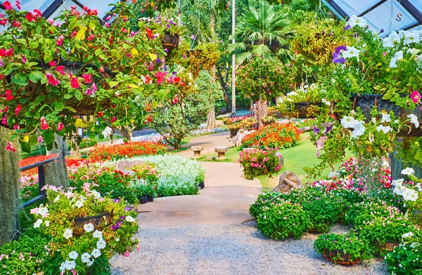 Grande décoration florale du jardin Mae Fah Luang, Doi Tung, Th — Photo