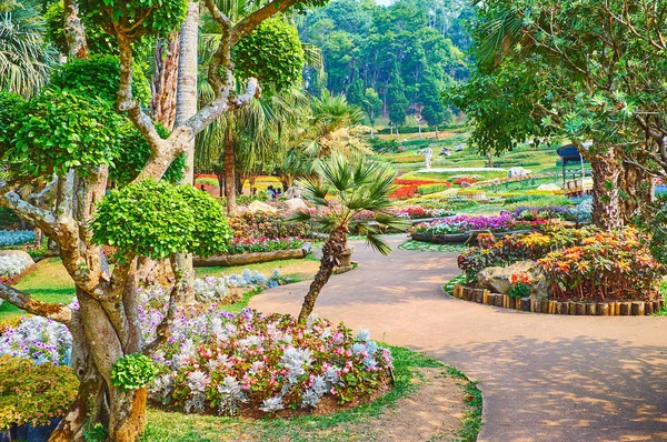 Los callejones curvos en el jardín de Mae Fah Luang, Doi Tung, Tailandia — Foto de Stock