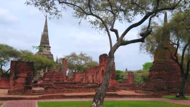 Paseo Parque Wat Phra Sanphet Sitio Arqueológico Del Templo Budista — Vídeos de Stock