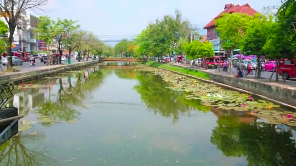 Chiang Mai Thailand May 2019 Old Town Moat Surrounds Medieval — Stock Video