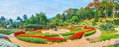 Yıldız şeklinde çiçek yatağı, Mae Fah Luang bahçe, Doi Tung, T