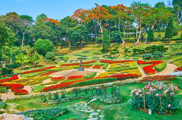 El jardín floreciente, Mae Fah Luang jardín, Doi Tung, Tailandia — Foto de Stock