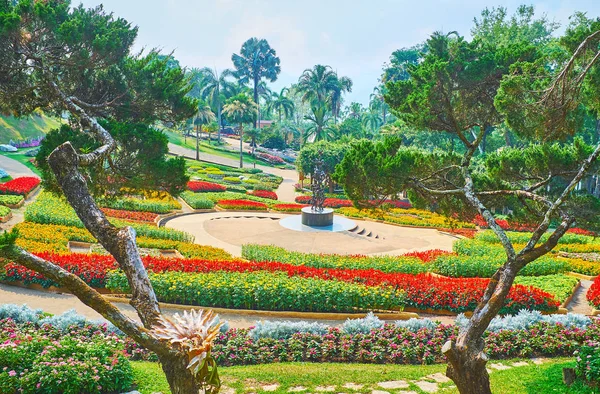 Los macizos de flores a través de los pinos, Mae Fah Luang jardín, Doi Tun — Foto de Stock