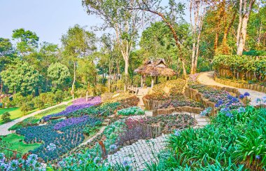 Mae Fah Luang Arboretum, Doi Chang Moob, Chia çiçek yatakları