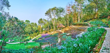 Nang Non mount, Mae Fah Luang Arboretum, Doi Chang Mo çiçekleri