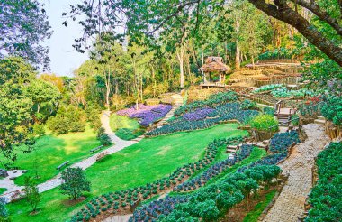 Mae Fah Luang Arboretum, Doi Chang Moob, Chiang ile yürüyün