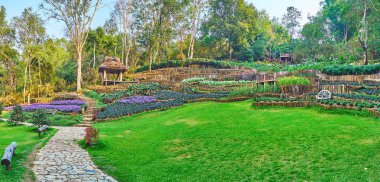 Çim, Mae Fah Luang Arboretum, Doi Chang M ile sokak