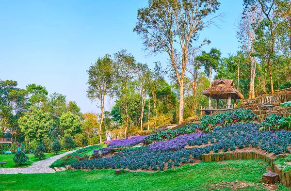 Los macizos de flores en la colina, Mae Fah Luang Arboretum, Doi Chang — Foto de Stock