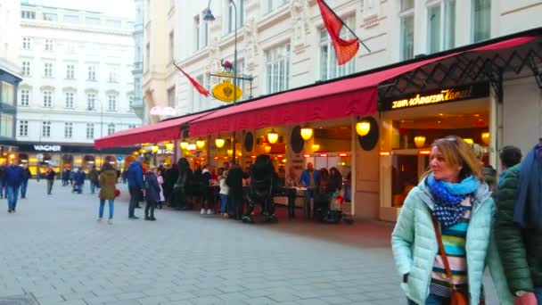 Viena Austria Febrero 2019 Gente Camina Por Calle Del Casco — Vídeo de stock