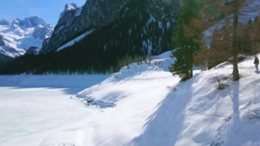 Yemyeşil Ladin ağaçları ve keskin kayalık doruklarına sahip Dachstein Alpleri ile çevrili dondurulmuş Gosausee Gölü ile yürümek, Gosau, Salzkammergut, Avusturya.