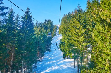 Zwieselalm dağ tepesinde yolculuk, Gosau, Avusturya