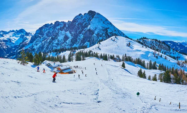 De glooiende helling van de Zwieselalm berg, Gosau, Oostenrijk — Stockfoto