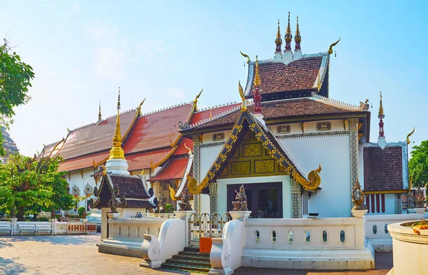 Explorez Sao Inthakin, Wat Chedi Luang, Chiang Mai, Thaïlande — Photo