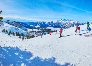 Kayak koşması sporcuları, Gosau, Salzkammergut, Avusturya