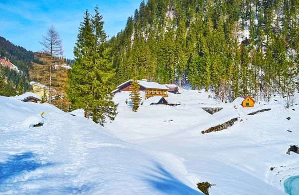 Walk through the snowdrifts, Gosau, Austria