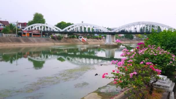Thailand Lampang Daki Hua Wiang Mahallesinin Simgesi Olan Çiçek Açan — Stok video