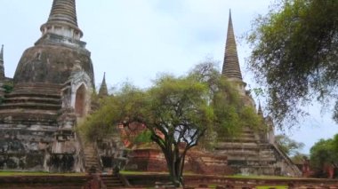 Ayutthaya, Tayland - 14 Mayıs 2019: Yeşil ağaçların arasından chedis ve antik binaların temelleri ile Wat Phra Si Sanphet arkeolojik alanıpanorama, Ayutthaya Mayıs'ta 14