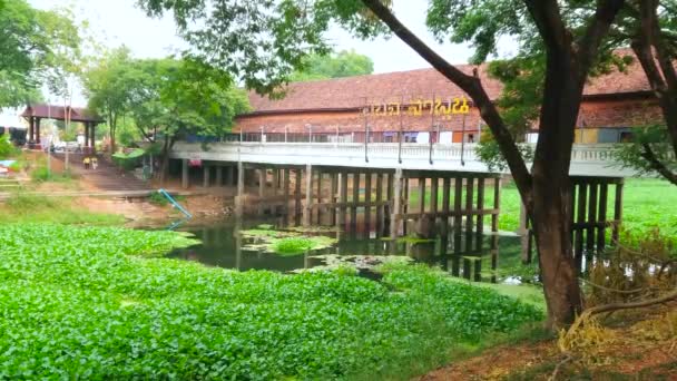 Lamphun Thajsko Května 2019 Stinný Park Řece Kuang Pokrytý Zelenými — Stock video