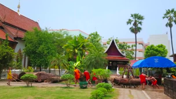 Lamphun Thailand May 2019 Novice Bhikkhu Monks Pull Giant Sacred — Stock Video