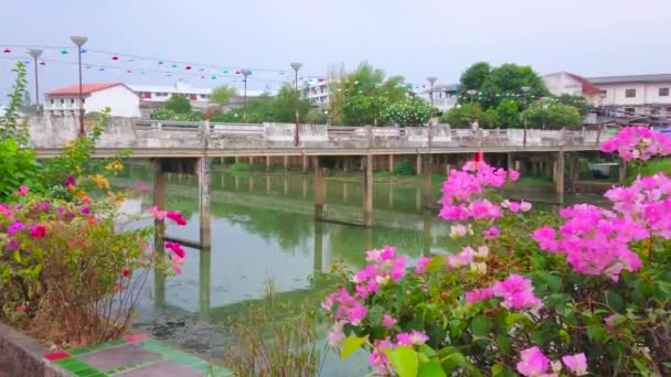 Kellemes Esti Folyóparti Séta Kilátással Wang Folyó Fényes Bougainvillea Virágok — Stock videók